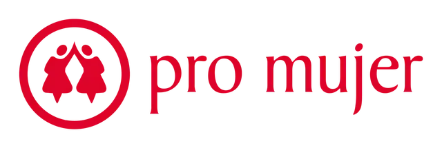 The Paak logo